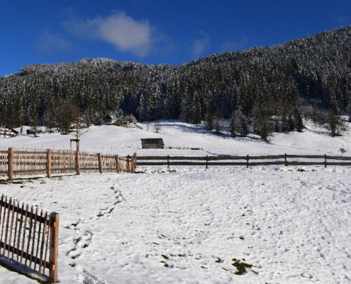 Fenster putzen im Winter auch bei Schnee und Minusgraden