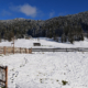 Fenster putzen im Winter auch bei Schnee und Minusgraden