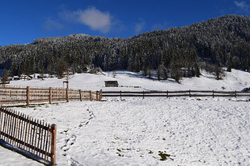 Fenster putzen im Winter auch bei Schnee und Minusgraden
